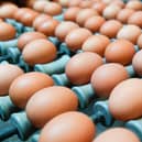 British free range eggs were taken off shelves due to the bird flu outbreak (image: AFP/Getty Images)