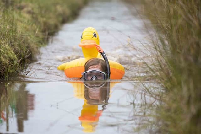 World Bog Snorkelling Championships in Llanwrtyd Wells in Wales (photo: Getty Images)