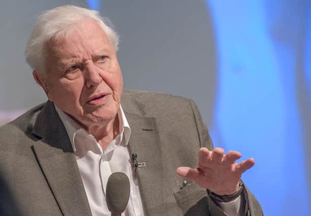 David Attenborough is to issue a stark warning to G7 leaders (Getty Images)