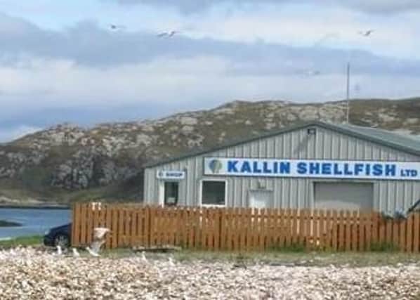 Kallin Shellfish on North Uist has been forced to furlough 25 staff and tie up its boats up in the harbour as business came to a “dead stop”