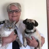 Virtual walk on the wild side...Sharon Comrie, with Mac the cat and Bella, will take viewers on exclusive, behind the scenes tours of the SSPCA on May 26 and 28.