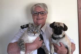 Virtual walk on the wild side...Sharon Comrie, with Mac the cat and Bella, will take viewers on exclusive, behind the scenes tours of the SSPCA on May 26 and 28.