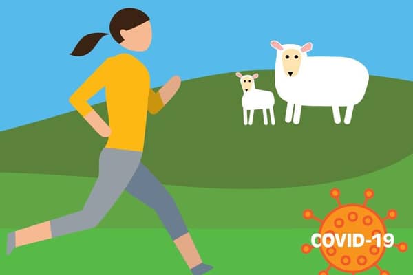 Campaign message...avoid fields with young calves or lambs while you’re safely accessing the outdoors for exercise.