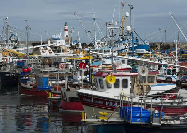 Owners of fishing vessels throughout the UK will need to register as food businesses if they wish to continue to export their catches to EU member states.