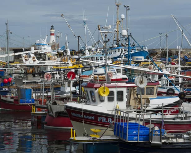 Owners of fishing vessels throughout the UK will need to register as food businesses if they wish to continue to export their catches to EU member states.