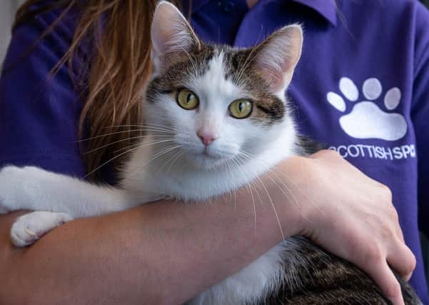 The Scottish SPCA responded to just under 200 animal welfare jobs in the Western Isles in the first half of 2020. (Photo: Scottish SPCA)