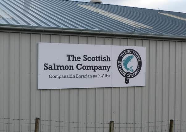 The Scottish Salmon Company enjoyed success at the 2020 Aquaculture Awards.