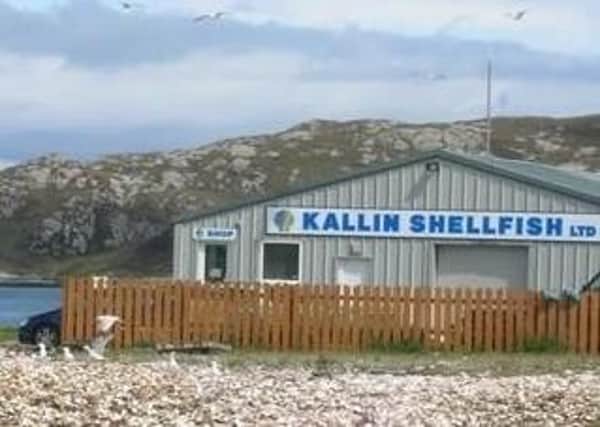 The report warns of potential job losses at Kallin Shellfish.