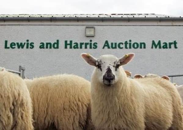 Auction boss promises they'll be running a full sales sheet as soon as possible.