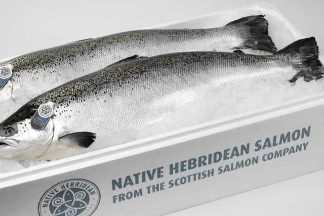 Advertising image from the Scottish Salmon Company