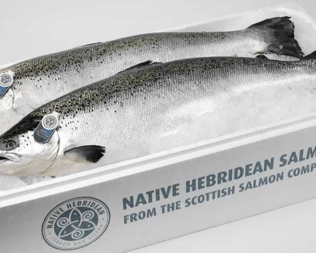 Advertising image from the Scottish Salmon Company