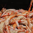 Seafood exporters are worried over delays to their produce