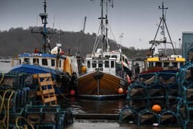 The Scottish Fishing industry says it is losing £1 million per day post-Brexit as EU customers are cancelling orders.
