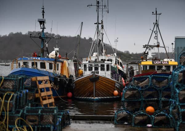 The Scottish Fishing industry says it is losing £1 million per day post-Brexit as EU customers are cancelling orders.