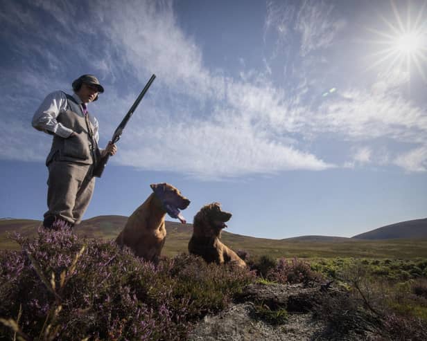 Should we licence grouse moor shooting?