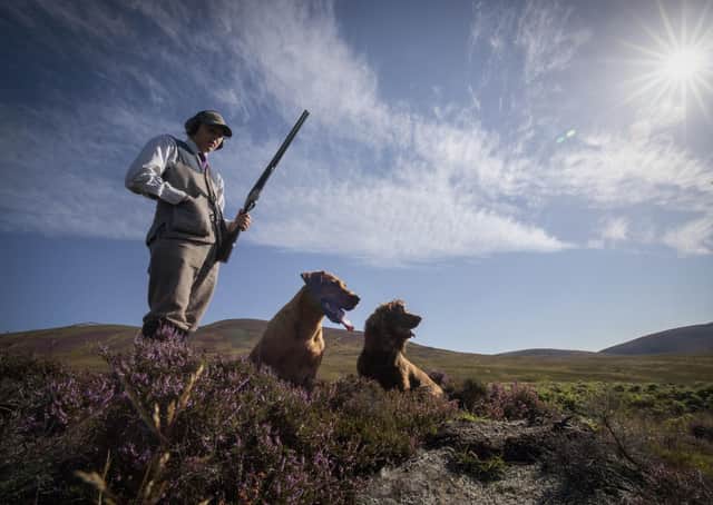 Should we licence grouse moor shooting?