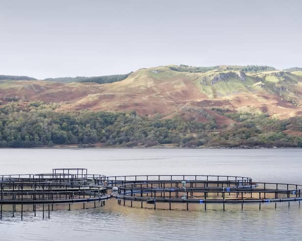 Fish farm companies face a hike in Crown Estate rents.