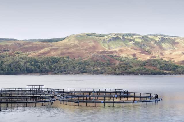 Fish farm companies face a hike in Crown Estate rents.