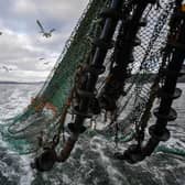 Additional pelagic quota should be distributed on a community basis, say the Western Isles Fishermen's Association.  (Photo by Jeff J Mitchell/Getty Images)