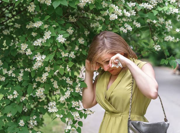 Living with hay fever can make daily life a struggle (photo: Adobe)
