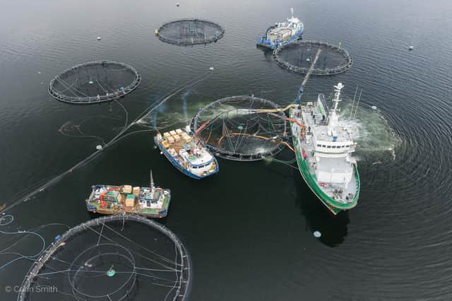 Open water salmon farming cages