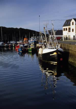 The local fishing fleet looks to have bounced back from recent challenges.