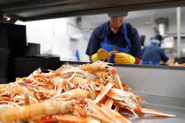 There will be significant job losses in the processing sector