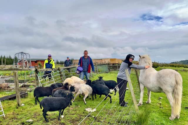 Macaulay Farm has built up an array of livestock which those attending help look after