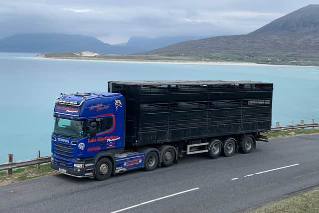 Lorry transporting animals on Harris.