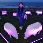 Illuminated sheep art work at Bamburgh with artist Deepa Mann-Kler
 (photo: Raoul Dixon)