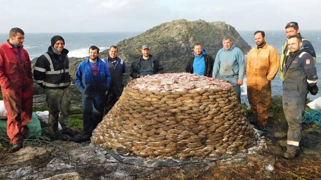 The annual harvest by the men of Ness has long been a part of island tradition.