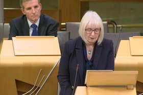 Shetland LibDem MSP,  Beatrice Wishart, intoduces the debate with her Orkney colleague Laim Macarthur in the background.