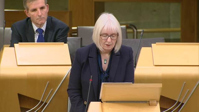 Shetland LibDem MSP,  Beatrice Wishart, intoduces the debate with her Orkney colleague Laim Macarthur in the background.