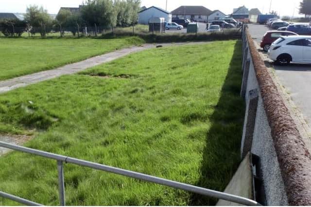 The patch of grass earmarked for the proposed skate park in Tong.