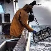Fishermen are now looking to leave the industry.