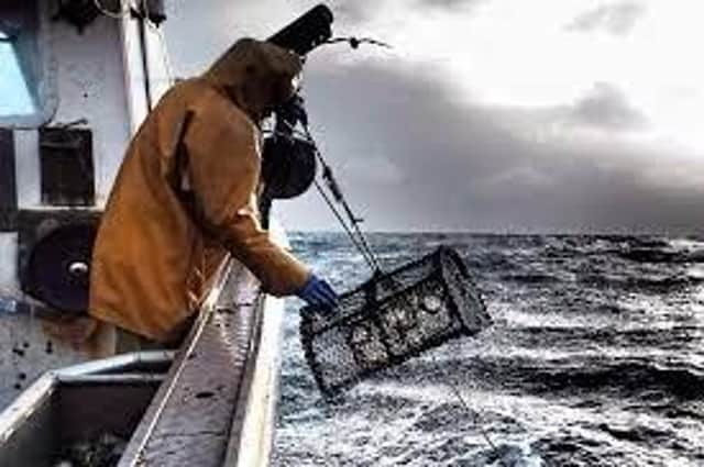Fishermen are now looking to leave the industry.