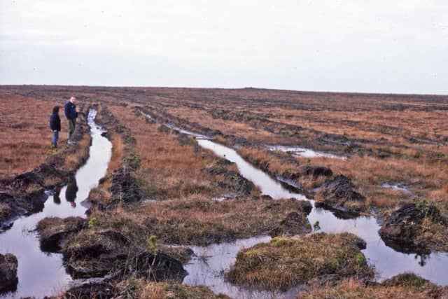 Barvas moor is internationally recognised, say NatureScot