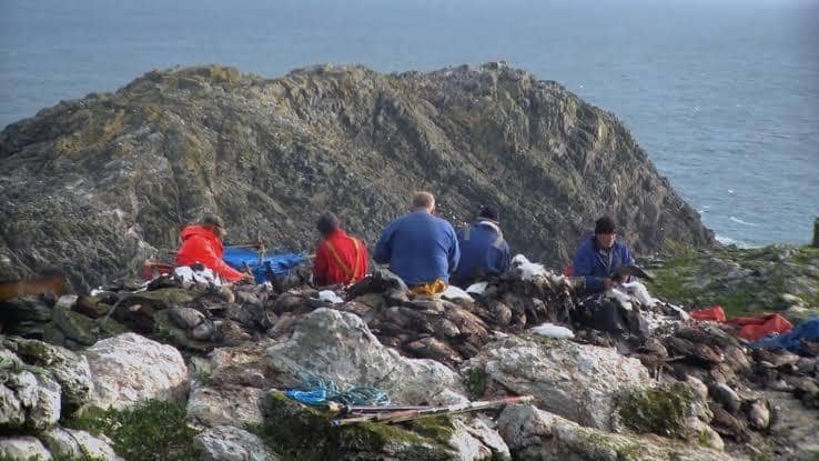 The hunt has been a traidtion for the community of Ness for centuries - but now faces being banned.