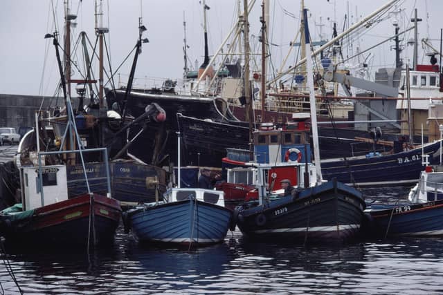 Fishing boats in Fraserburgh harbour. A number of foreign nationals are known to be working in the industry. (RDImages/Epics/Getty Images)