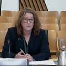 Ms Irvine's appearance at a committee hearing has sparked further concern over the appointments process.
