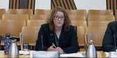 Ms Irvine's appearance at a committee hearing has sparked further concern over the appointments process.