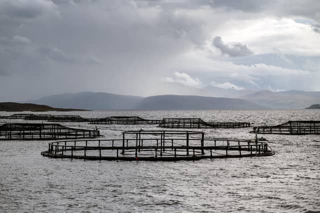 Fish farming provides vital employment in the islands.