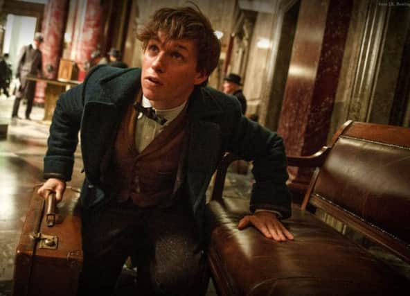 Eddie Redmayne as Newt Scamander in Fantastic Beasts and Where to Find Them.