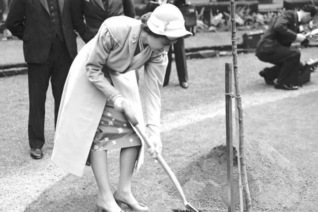 Queen Elizabeth II plants a tree at the Canongate Church during her first visit to Edinburgh as Queen in 1952.