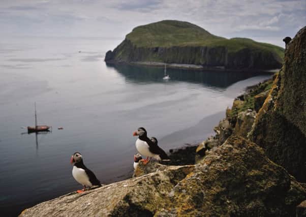 Puffins on the Shiant Isles. Photograph by Jim Richardson.