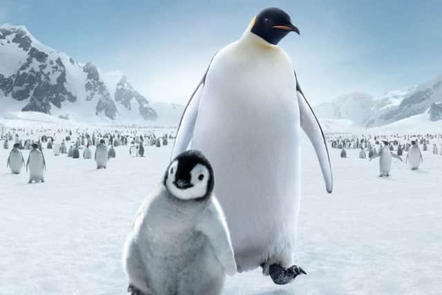 One of the must-sees is March of the Penguins 2.