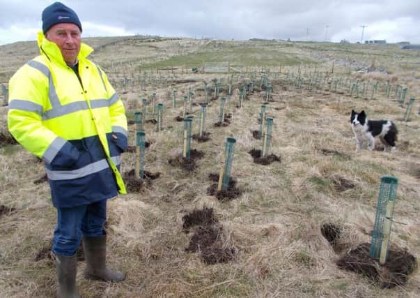 The Woodland Trust is supporting crofters in the planting of trees across the islands to help protect our land.