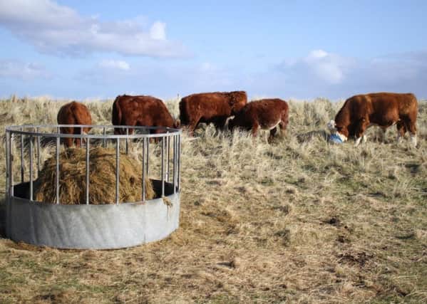 Crofting is well ahead on environmentally sustainable practices with its mainly extensive grazing system.